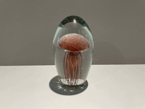 Kersten B.V. Paperweight Glass Jelly Fish Terra Decoratie Showroommodel 1